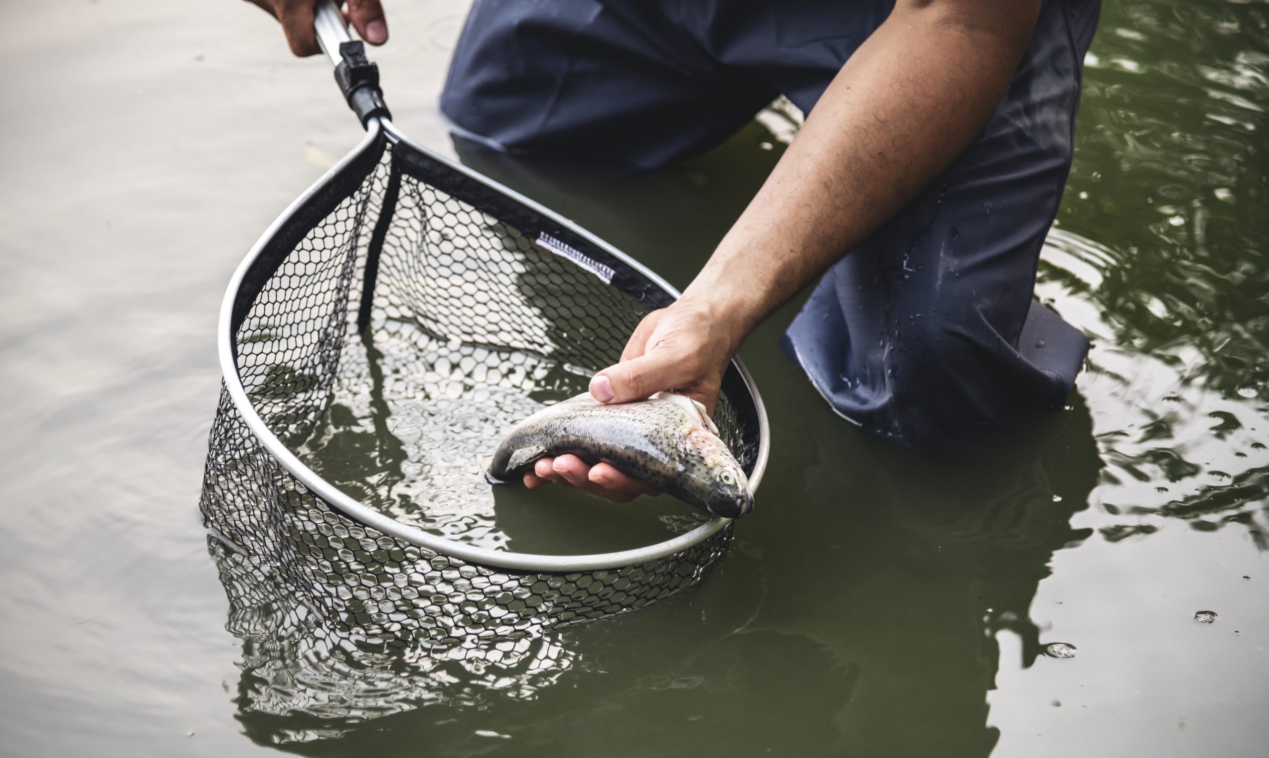 SEDAM alerta para futura escassez e pede para que pescadores respeitem o período de reprodução dos peixes