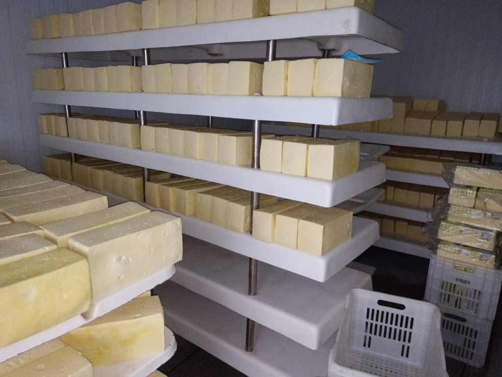5 toneladas de queijo clandestino são apreendidas e laticínio fechado em Candeias, RO