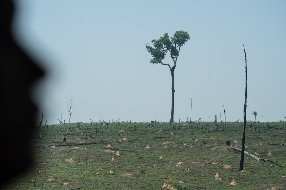 Povo Karipuna entra com ação na Justiça para que Funai, União e Governo de RO protejam terra indígena